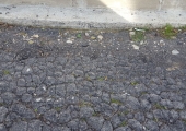 Estat d'un dels carrers del Maset